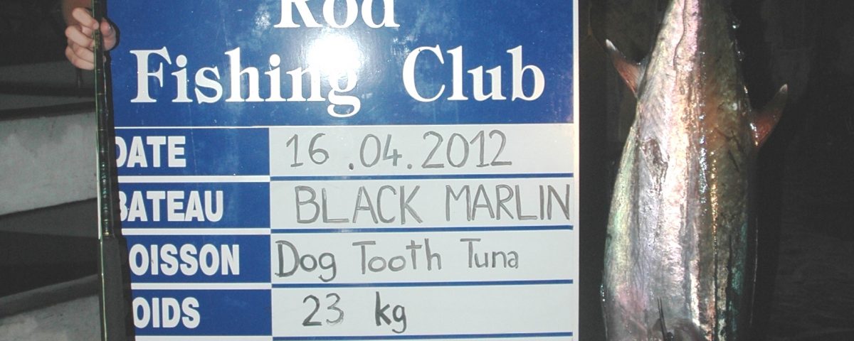 23kg dogtooth tuna feminine junior world record on baiting - 16 04 2012