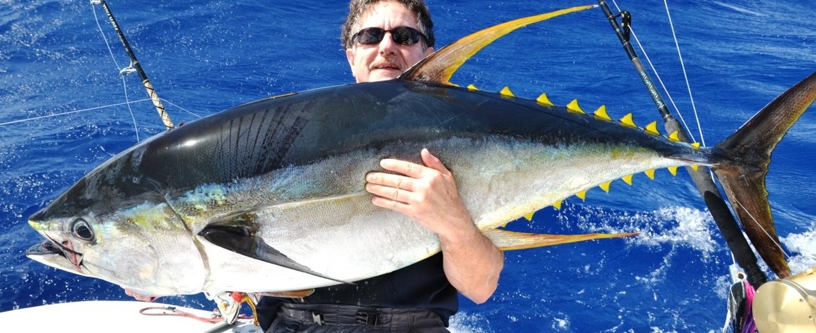 50kg YellowFin Tuna on heavy spinning - Rod Fishing Club - Rodrigues Island - Mauritius - Indian Ocean