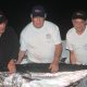 66kg doggy on night jigging - Rod Fishing Club - Rodrigues Island - Mauritius - Indian Ocean