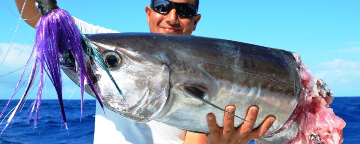 Attaque de requin sur thon à dents de chien pour Aviram - Rod Fishing Club - Ile Rodrigues - Maurice - Océan Indien