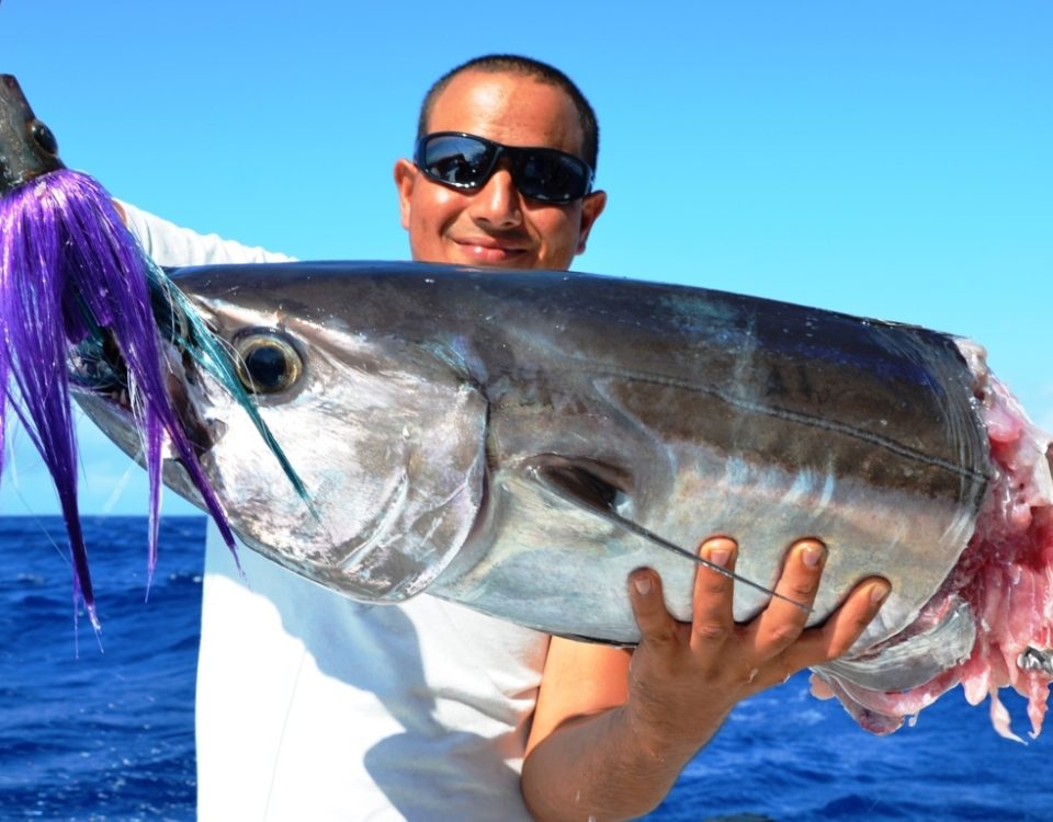Attaque de requin sur thon à dents de chien pour Aviram - Rod Fishing Club - Ile Rodrigues - Maurice - Océan Indien