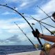 Axel en combat avec un doggy de 89 kg - Rod Fishing Club - Ile Rodrigues - Maurice - Océan Indien