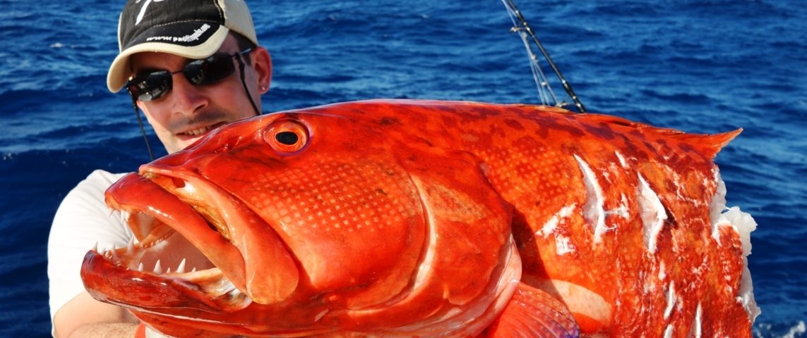 Babonne coupée pour Loic - Rod Fishing Club - Ile Rodrigues - Maurice - Océan Indien