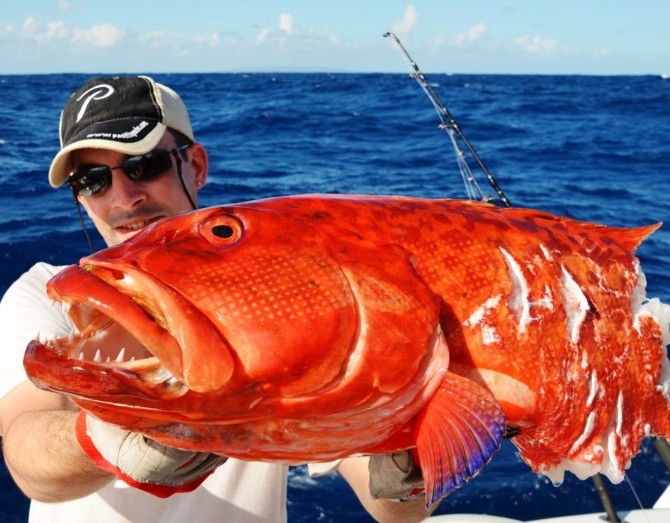 Babonne coupée pour Loic - Rod Fishing Club - Ile Rodrigues - Maurice - Océan Indien