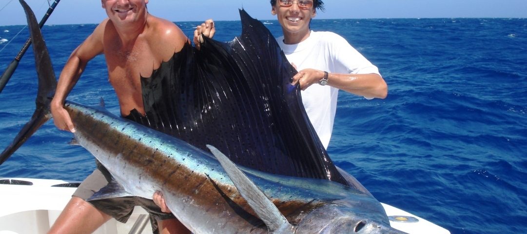 Beautiful Sailfish - Rod Fishing Club - Rodrigues Island - Mauritius - Indian Ocean