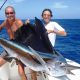 Beautiful Sailfish - Rod Fishing Club - Rodrigues Island - Mauritius - Indian Ocean