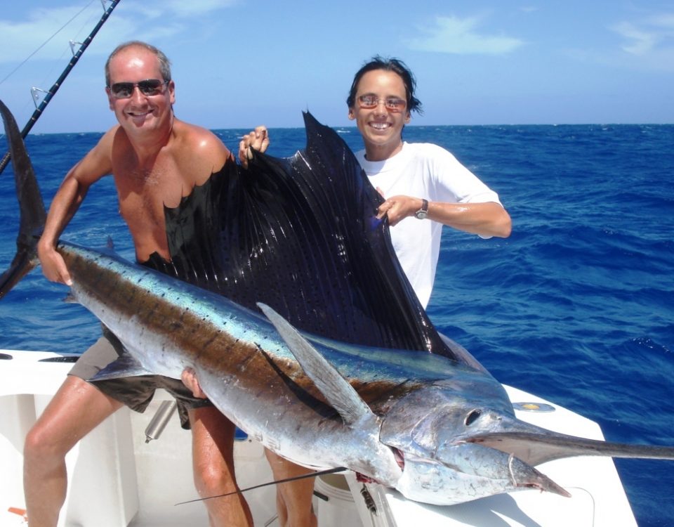 Beautiful Sailfish - Rod Fishing Club - Rodrigues Island - Mauritius - Indian Ocean