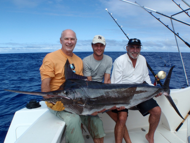 Black marlin on trolling - Rod Fishing Club - Rodrigues Island - Mauritius - Indian Ocean