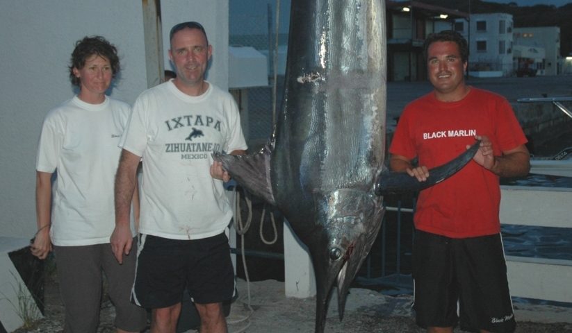 Black marlin on trolling by Nico - Rod Fishing Club - Rodrigues Island - Mauritius - Indian Ocean