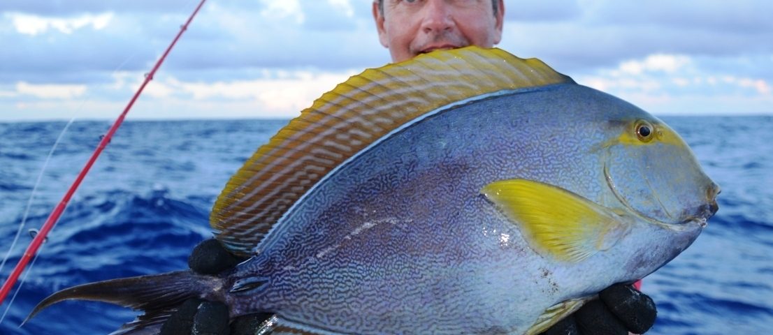 Bruno and his surgeon fish on bottom fishing - Rod Fishing Club - Rodrigues Island - Mauritius - Indian Ocean