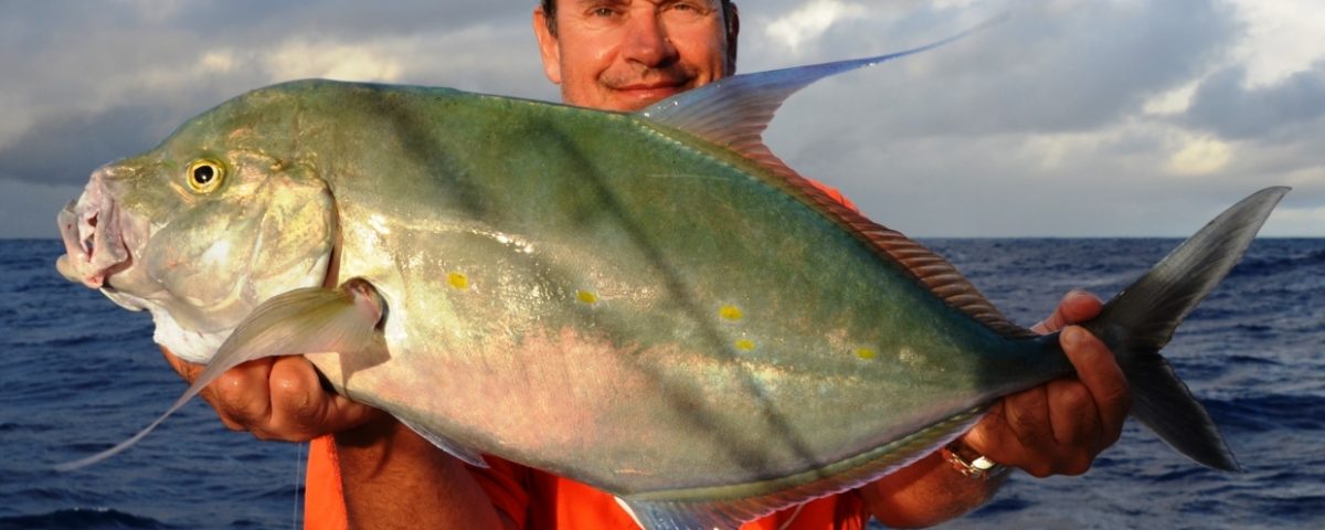 Carangue des îles ou à points jaunes - Rod Fishing Club - Ile Rodrigues - Maurice - Océan Indien