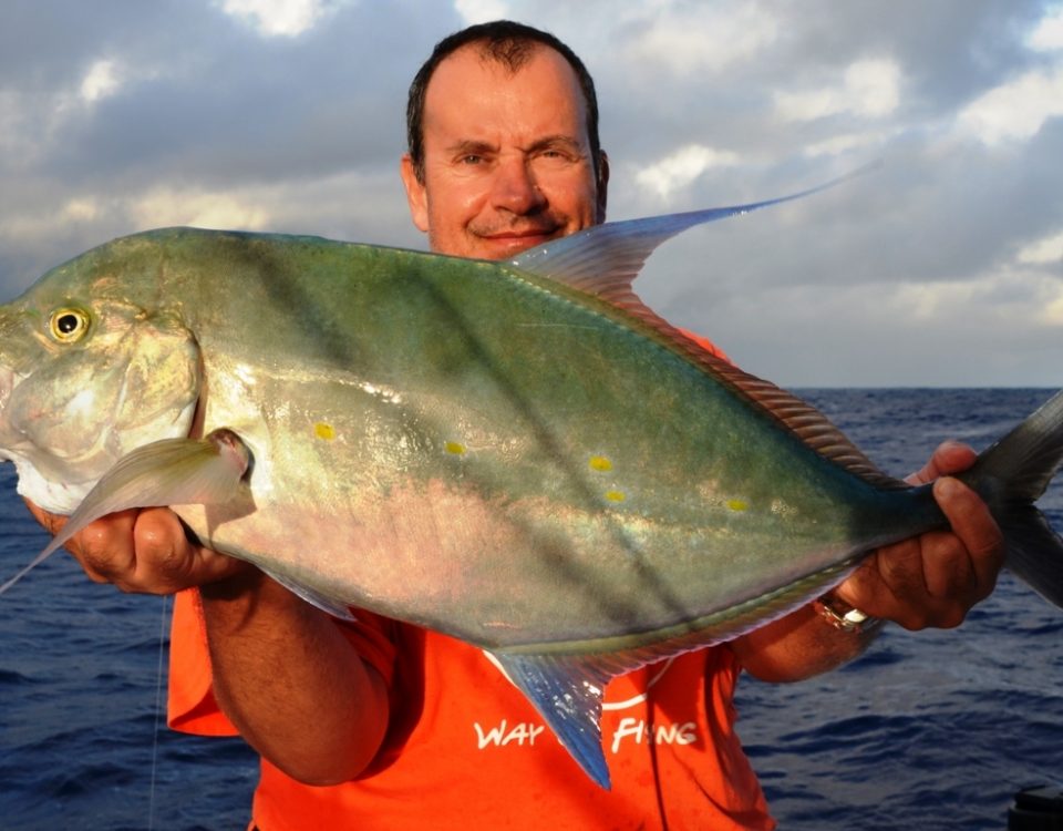 Carangue des îles ou à points jaunes - Rod Fishing Club - Ile Rodrigues - Maurice - Océan Indien