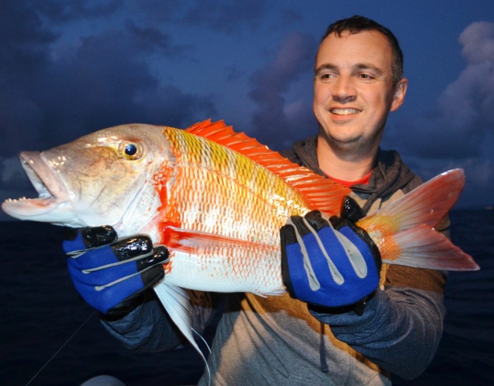 Dame Berri (Lethrinus mahsena) - - Rod Fishing Club - Ile Rodrigues - Maurice - Océan Indien