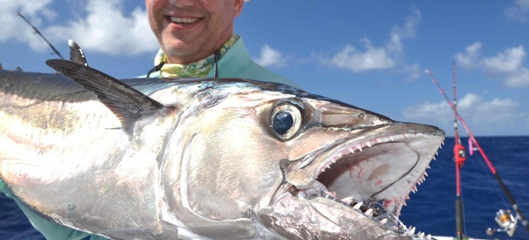 Dogtooth Tuna on Jigging for Igor - Rod Fishing Club - Rodrigues Island - Mauritius - Indian Ocean