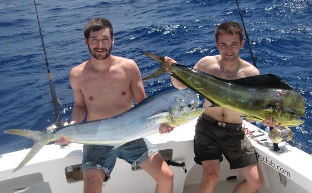 Dorados on trolling - Rod Fishing Club - Rodrigues Island - Mauritius - Indian Ocean