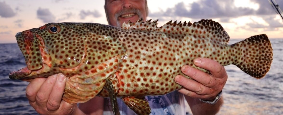 Dre and his grouper son baiting - Nov 2014 - Rod Fishing Club - Rodrigues Island - Mauritius - Indian Ocean