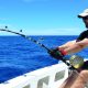 En combat avec un thon à dents de chien de 82kg en pêche à l' appât - Rod Fishing Club - Ile Rodrigues - Maurice - Océan Indien