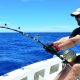 Fighting with a 82kg doggy on baiting - Rod Fishing Club - Rodrigues Island - Mauritius - Indian Ocean