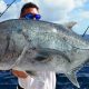 Giant Trevally released on jigging by Michel - Rod Fishing Club - Rodrigues Island - Mauritius - Indian Ocean