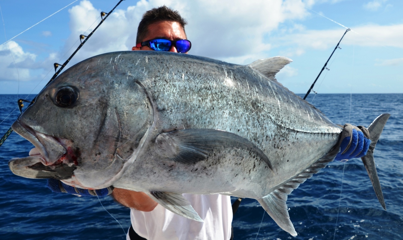 Giant Trevally Image