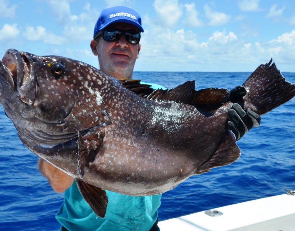Grouper on jigging for Louis on November 2015 - Rod Fishing Club - Rodrigues Island - Mauritius - Indian Ocean