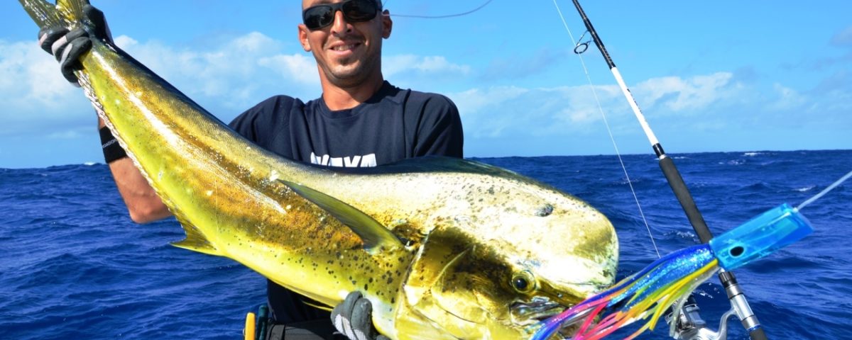 Male dorado by Eran - Rod Fishing Club - Rodrigues Island - Mauritius - Indian Ocean