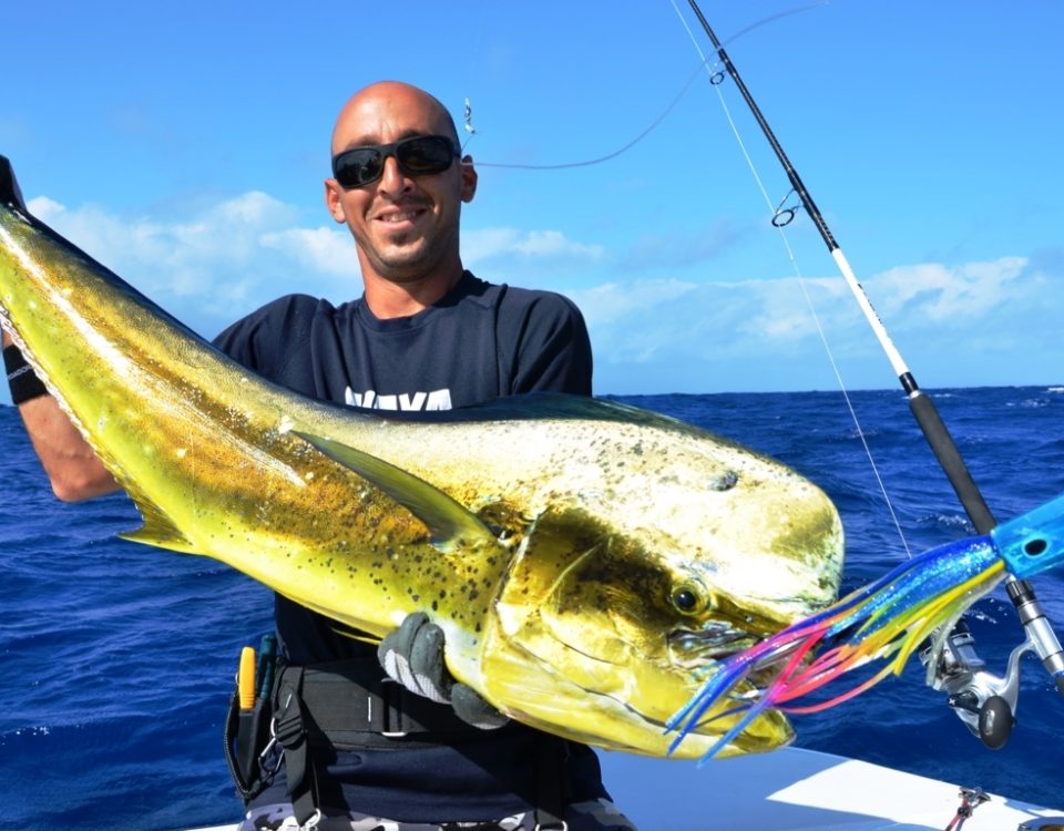 Male dorado by Eran - Rod Fishing Club - Rodrigues Island - Mauritius - Indian Ocean