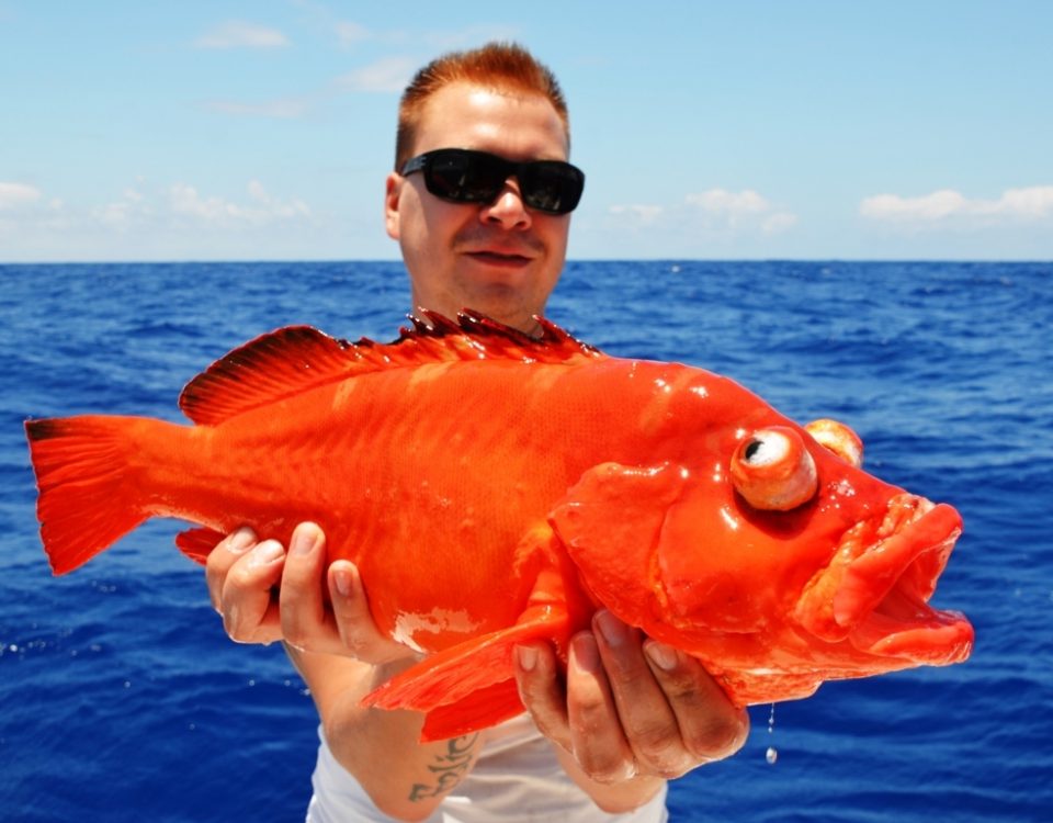 Mama rouge - Rod Fishing Club - Ile Rodrigues - Maurice - Océan Indien