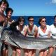 Marlin on trolling - Rod Fishing Club - Rodrigues Island - Mauritius - Indian Ocean
