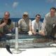 Marlin on trolling - Rod Fishing Club - Rodrigues Island - Mauritius - Indian Ocean