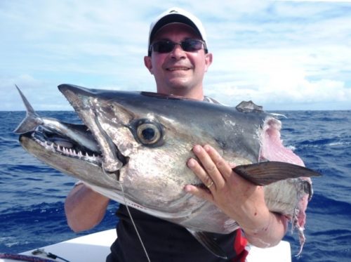 Prey or predator... - Rod Fishing Club - Rodrigues Island - Mauritius - Indian Ocean