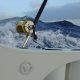 Quite rough weather...- Rod Fishing Club - Rodrigues Island - Mauritius - Indian Ocean