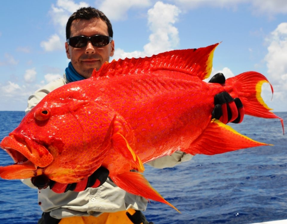 Red Corail Trout on jigging - Rod Fishing Club - Rodrigues Island - Mauritius - Indian Ocean