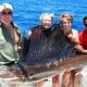 Sailfish on trolling - Rod Fishing Club - Rodrigues Island - Mauritius - Indian Ocean