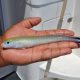 Strange fish aboard Black Marlin - Rod Fishing Club - Rodrigues Island - Mauritius - Indian Ocean