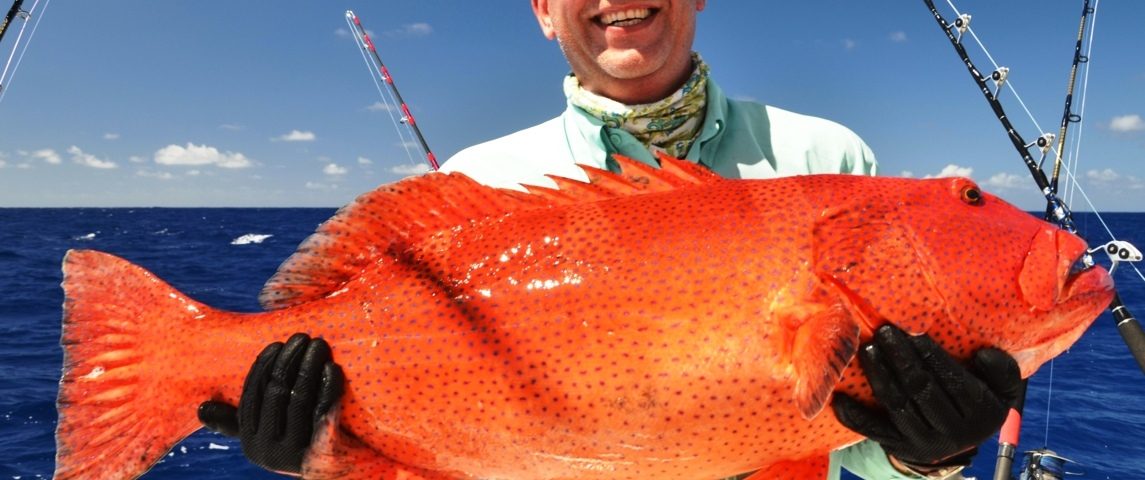 The Jigging Machine Igor - Rod Fishing Club - Rodrigues Island - Mauritius - Indian Ocean