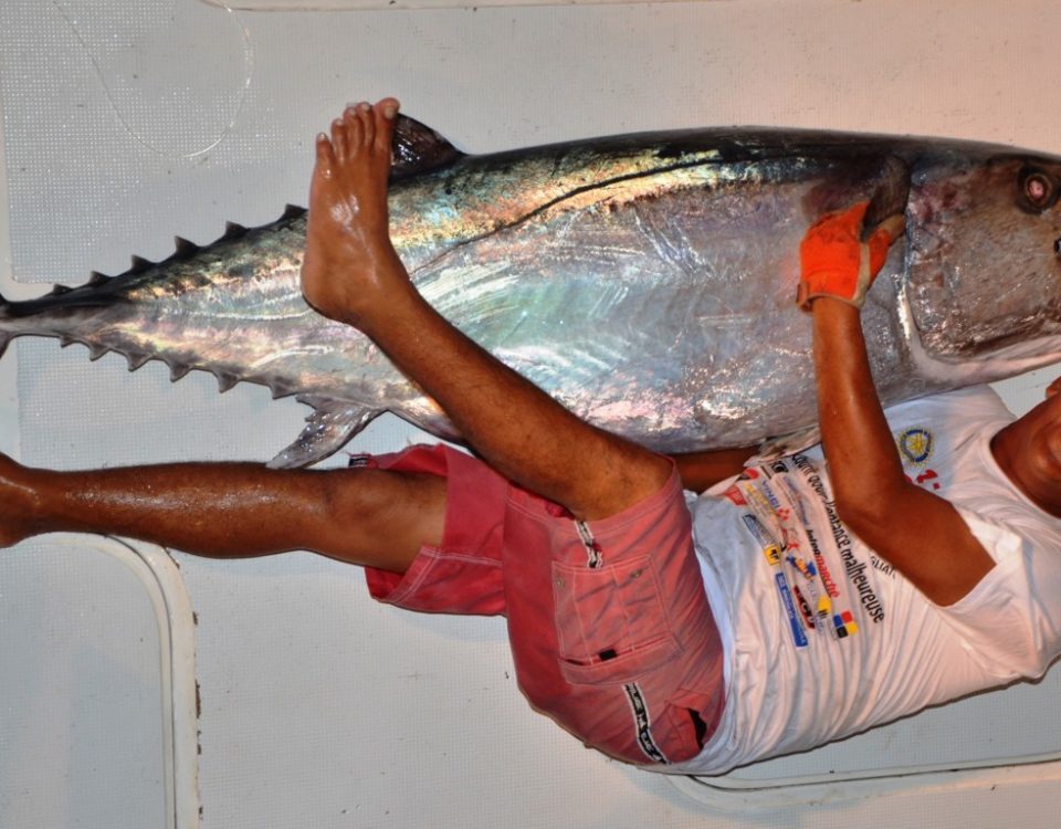 Thon à dents de chien 70 kg par Olivier - Rod Fishing Club - Ile Rodrigues - Maurice - Océan Indien