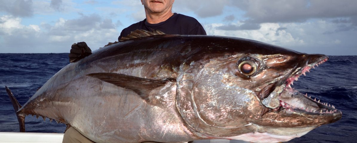 Thon à dents de chien 70kg par Claudius - Rod Fishing Club - Ile Rodrigues - Maurice - Océan Indien