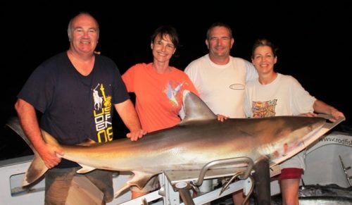 Whitetip shark on baiting - Rod Fishing Club - Rodrigues Island - Mauritius - Indian Ocean