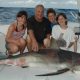 Whitetip shark on baiting - Rod Fishing Club - Rodrigues Island - Mauritius - Indian Ocean