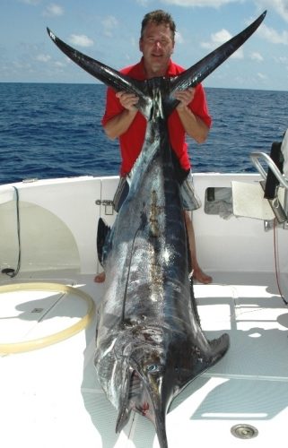 marlin bleu 170kg en pêche à la traîne - Rod Fishing Club - Ile Rodrigues - Maurice - Océan Indien