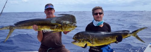 double-strike-of-dorados-caught-on-heavy-spinning-rod-fishing-club-rodrigues-island-mauritius-indian-ocean