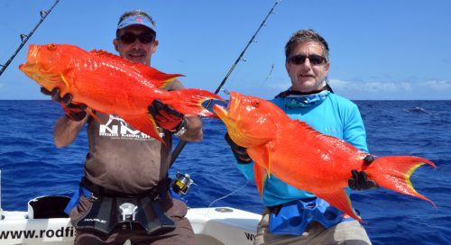 doublé-de-croissants-queue-jaune-en-jigging-sur-le-banc-de-lest-rod-fishing-club-rodrigues-ile-maurice-ocean-indien