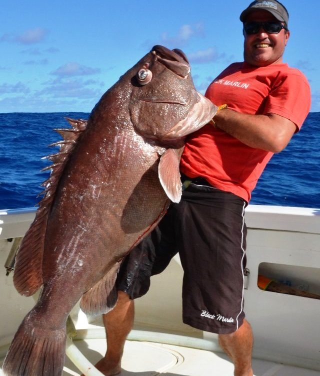 dusky-grouper-of-40kg-caught-on-very-deep-baiting-315m-deep-rod-fishing-club-rodrigues-island-mauritius-indian-ocean