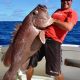 dusky-grouper-of-40kg-caught-on-very-deep-baiting-315m-deep-rod-fishing-club-rodrigues-island-mauritius-indian-ocean