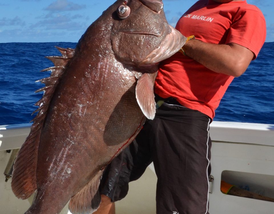 merou-brun-de-40kg-pris-en-peche-a-lappat-en-grande-profondeur-315m-rod-fishing-club-rodrigues-maurice-ocean-indien