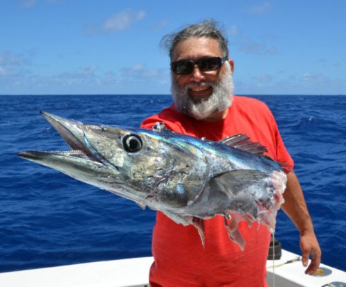 wahoo-coupe-par-un-requin-rod-fishing-club-rodrigues-ile-maurice-ocean-indien