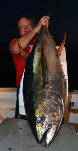 yellowfin-tuna-on-trolling-by-pierre-rod-fishing-club-rodrigues-island-mauritius-indian-ocean