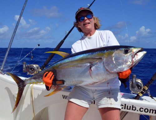 30kg-yellowfin-tuna-on-trolling-by-christine-rod-fishing-club-rodrigues-island-mauritius-indian-ocean