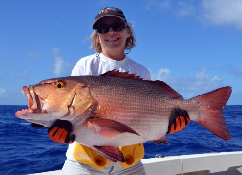 carpe-rouge-prise-en-peche-a-l-appat-par-christine-avant-relache-rod-fishing-club-ile-rodrigues-maurice-ocean-indien